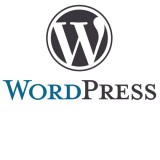 WordPress-Logo500